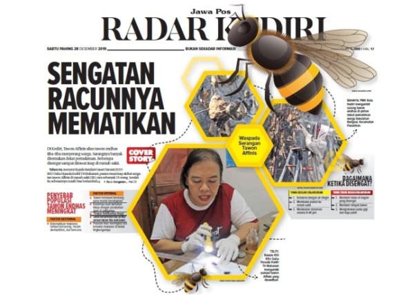 sengatan-racunnya-mematikan-waspada-serangan-tawon-endhas-di-kediri