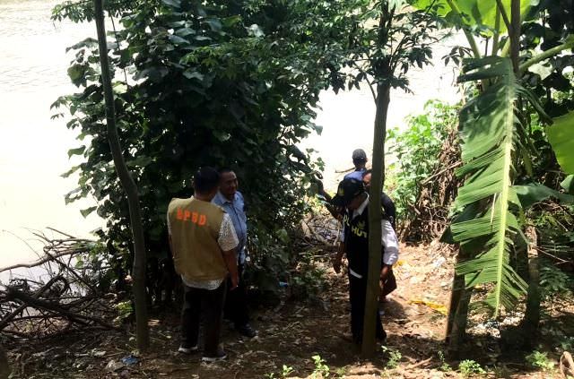 penampakan-buaya-muara-di-kediri-yang-kerap-terlihat-justru-nyambik