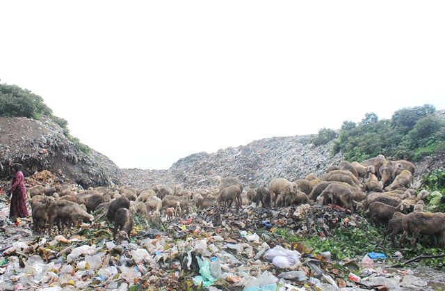 sampah-di-kediri-tpa-sekoto-siapkan-sanitary-landfill
