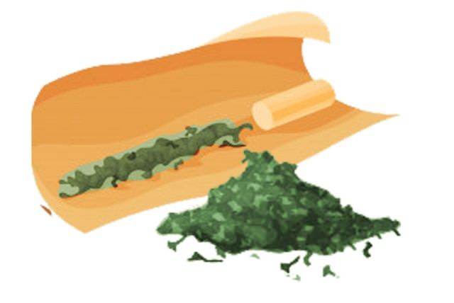 waspada-ganja-sintetis-berbahan-tembakau-gayo