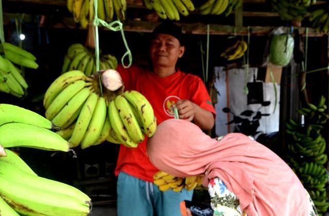omzet-penjual-pisang-turun-hingga-50-persen