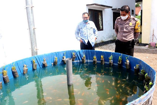 melongok-kampung-tangguh-di-tengah-pandemi-covid-19-di-kediri-1