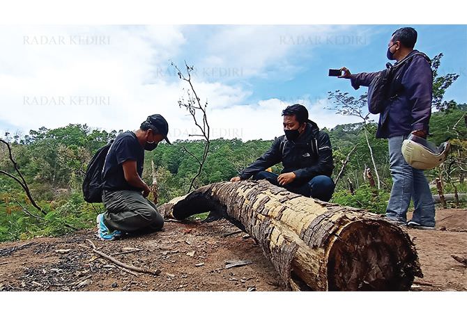 penebangan-hutan-lereng-wilis-semakin-memprihatinkan