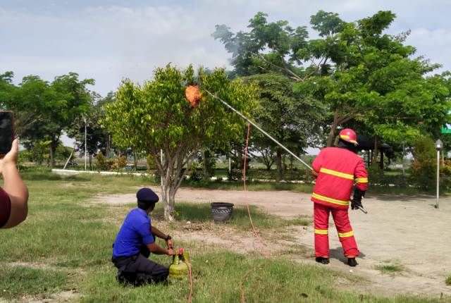 bakar-sarang-tawon-sebesar-bola-voli-di-pandan-wilis
