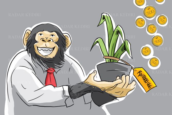 hobi-bisnis-dan-monkey-business