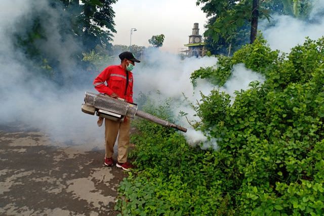 petugas-fogging-dinkes-nganjuk-jadi-ujung-tombak-pemberantasan-dbd