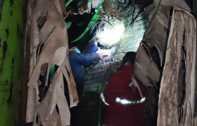seminggu-damkar-musnahkan-lima-sarang