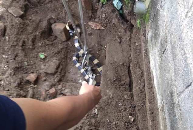 damkar-amankan-ular-weling-di-pekarangan-warga