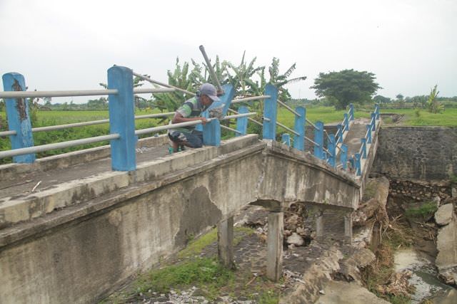 ratusan-hektare-sawah-di-nganjuk-tak-dapat-irigasi-ini-sebabnya