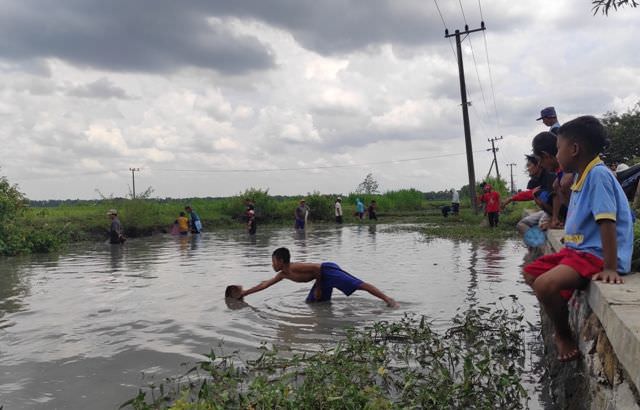 sawah-tergenang-air-bah-jadi-kolam-dadakan
