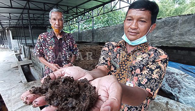 sulap-limbah-rumah-potong-hewan-rph-jadi-pupuk-cair-dan-kompos