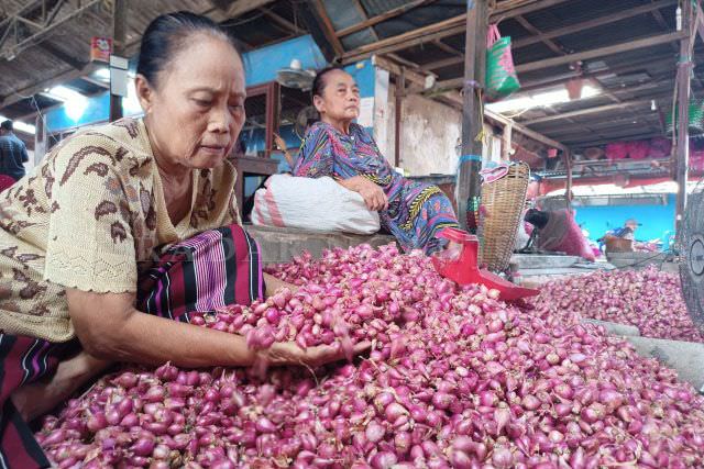 harga-brambang-makin-melambung