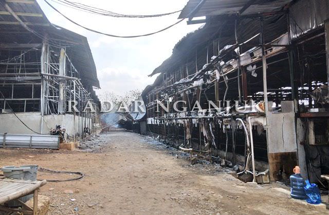 kandang-ayam-terbakar-rugi-7-miliar