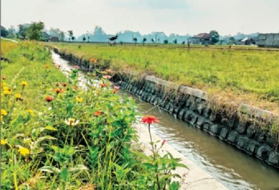 menggali-candi-klotok-mencari-jejak-besar-kota-kediri-23