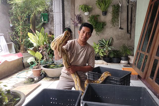 solichin-sang-ketua-komunitas-reptil-kediri