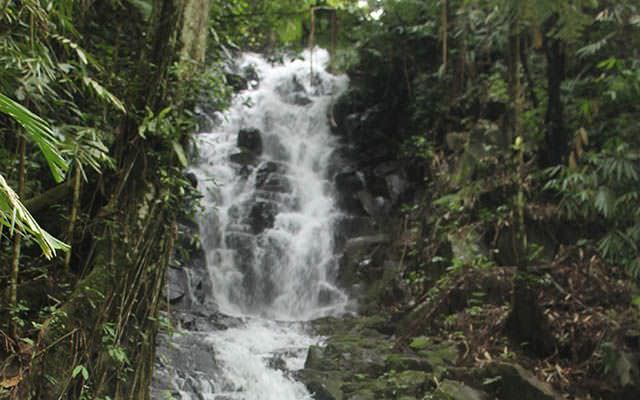 kawasan-besuki-sajikan-kuliner-unik-dan-eksotisme-wisata-alam