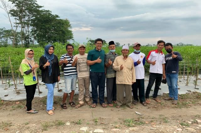 bersama-ratu-cabai-kediri-poktan-sumber-rohmah-bangun-bank-cabai