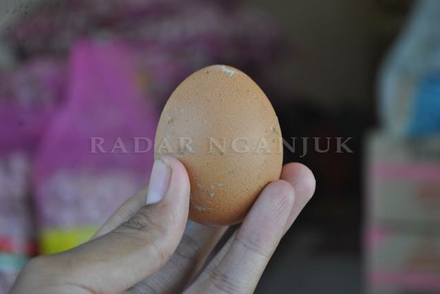 harga-minyak-goreng-dan-telur-masih-melambung-di-kota-angin
