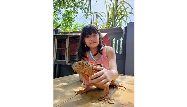 laut-padi-dengan-reptil-musang-dan-kura-kura-peliharaannya