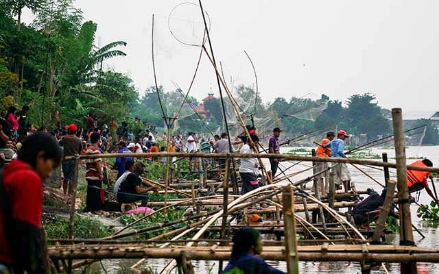 pladu-ratusan-warga-berburu-ikan-di-sungai-brantas