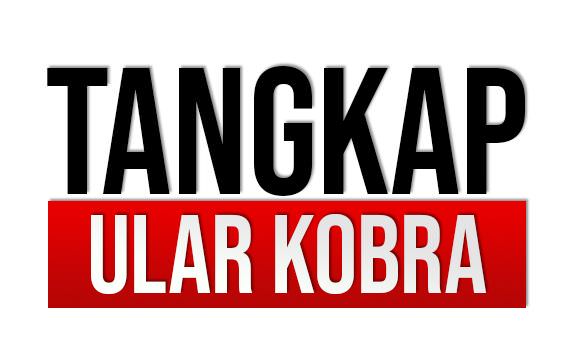 upt-pmk-kota-kediri-tangkap-ular-kobra-di-pesantren
