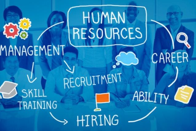 fungsi-hr-software-dan-perannya-dalam-kepegawaian-di-perusahaan