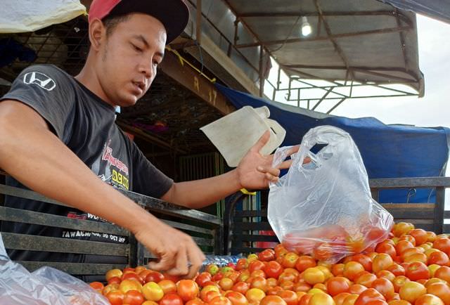 komoditas-melimpah-harga-tomat-di-pasar-ngronggo-kota-kediri-turun
