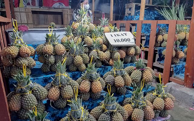 penjualan-anjlok-petani-nanas-di-kediri-merugi
