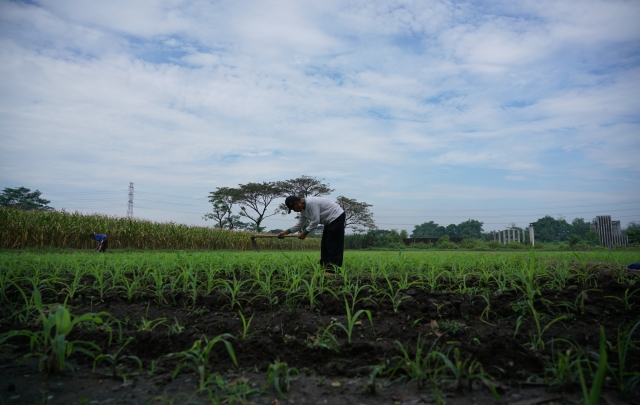 Wahyu Adji/JPRK