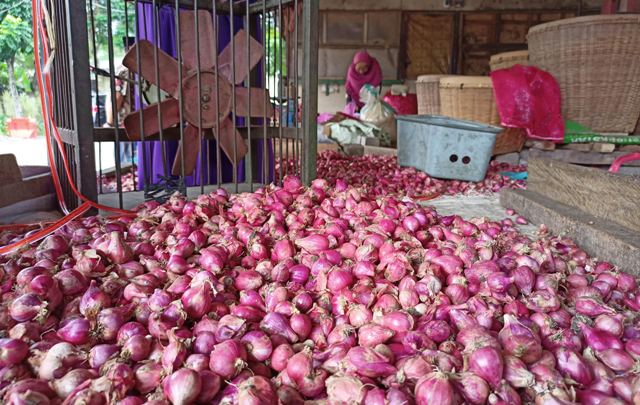 MAHAL : Pedagang brambang menunggu konsumen di lapaknya di Pasar Grosir Ngronggo kemarin. (Habibah A. Muktiara)