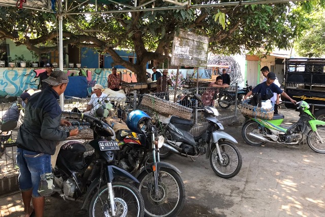 LANGSUNG JUALAN: Pedagang kambing di Pasar Hewan Kertosono berjualan kemarin. Harga kambing anjlok. (Foto: Andhika Attar)