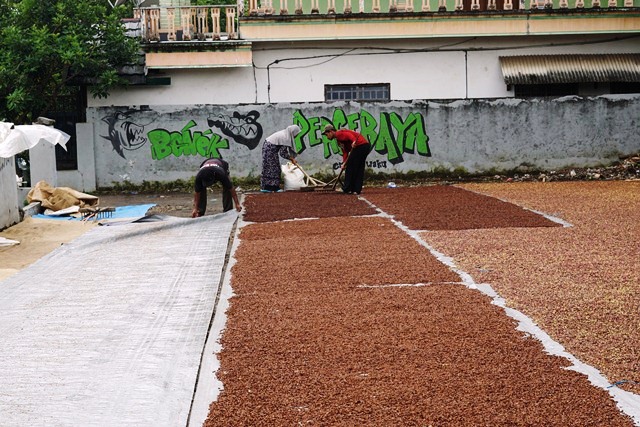 KOMODITAS ANDALAN: Petani di lereng Gunung Wilis menjemur cengkih di halaman. (Foto: M. Arif Hanafi)