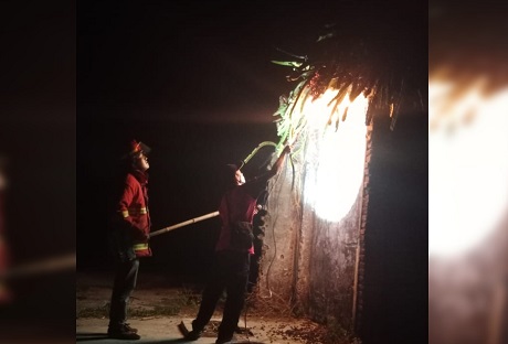 EVAKUASI: Petugas Damkar Kabupaten Nganjuk membakar sarang tawon yang meresahkan warga Desa Mabung. (Foto: Damkar Kabupaten Nganjuk for JPRK)