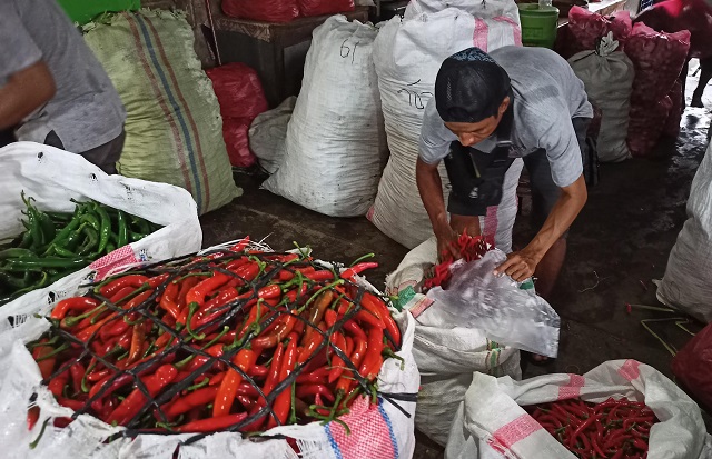 MASIH MAHAL: Pedagang memeriksa kualitas cabai yang akan dipasarkan. (Habibah A. Muktiara/JPRK)