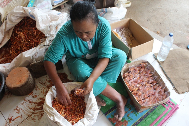 BANYAK DIMINATI: Petani rempah memilah hasil tanamannya. (Foto: Rekian)