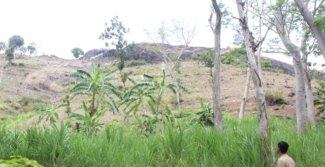 MASIH ALAMI: Choirul Anam menyaksikan Selo Gajah dari kaki bukit. (Foto: Rekian)