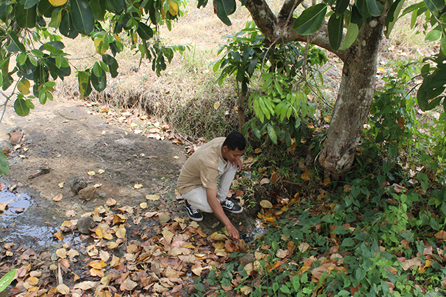 SUBUR: Sumber air di Selo Gajah kini dimanfaatkan petani untuk mengairi sawah di sekitarnya. (Foto: Rekian)