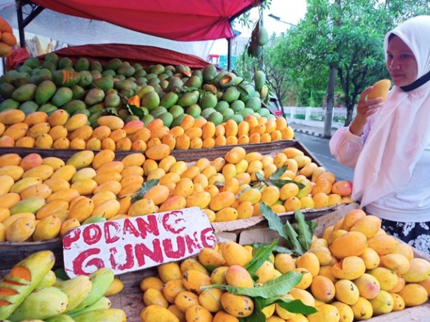 MATANG: Salah satu lapak pedagang buah mangga podang di Jl Patimura, Kelurahan Setonopande, Kota Kediri. (Foto: Habibah A. Muktiara)