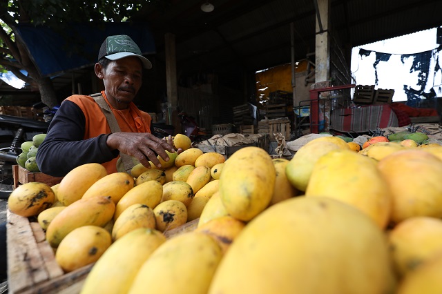 IKON: Pedagang di pasar buah mangga yang ada di perbatasan Desa Maron dan Desa Banyakan di Kecamatan Banyakan ramai dikunjungi pembeli. (Wahyu Adji/JPRK)