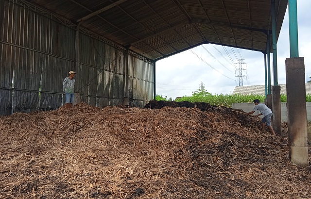 CEGAH RAMBAT API: Karyawan pabrik membasahi sisa sepah tebu yang terbakar di area pabrik Dusun Purwoharjo, Desa Purwokerto, Kecamatan Ngadiluwih kemarin. (Fildatul Halwa/JPRK)