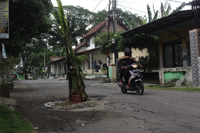PENANDA: Pengendara melintasi jalanan rusak yang ditanami pisang oleh warga di Desa Paron, Kecamatan Ngasem kemarin. (Rekian/JPRK)