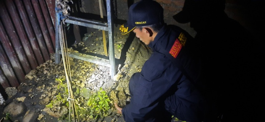 EVAKUASI SARANG TAWON: Damkarmat Kabupaten Nganjuk mengevakuasi sarang tawon yang bikin warga Desa ngrombot, Patianrowo ketakutan. (Foto: Damkarmat Kabupaten Nganjuk For JPRK)