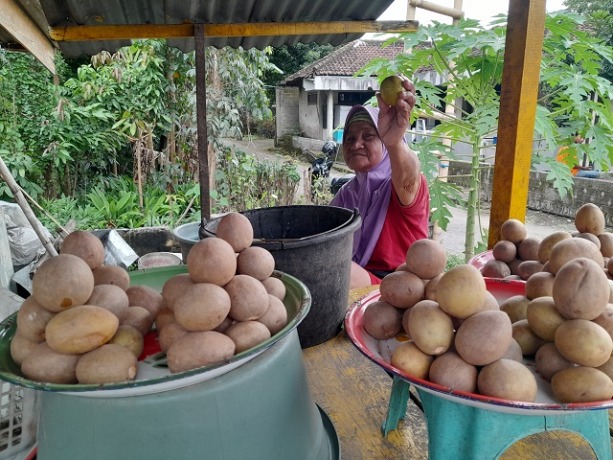 MASIH EKSIS: Pedagang menawarkan buah sawo yang dijual di salah satu lapak Pasar Sawo, Desa Bringin, Kecamatan Badas. (Foto: Emil Susanti)