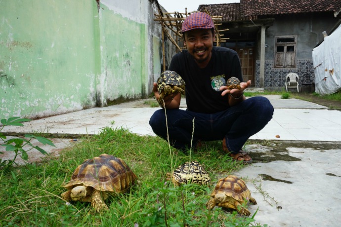 TELATEN : Mahendra menunggui kura-kura sulcata piaraannya yang sedang berjemur di samping rumahnya kemarin. (Foto: Habibah A. Muktiara)