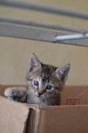 (Foto: Habibah A. Muktiara)