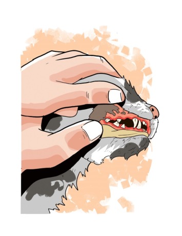 (Ilustrasi: Afrizal)