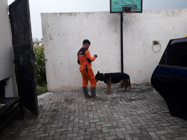 BELUM KETEMU: Anjing pelacak dari BPBD Kota Kediri, Bobo, beristirahat setelah sehari penuh menyusuri sungai mencari Alvian. (Foto: Ayu Isma)