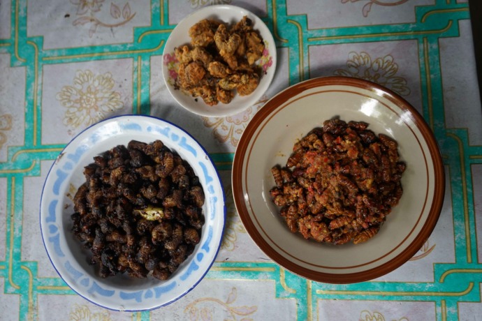 UNIK : Menu ungker atau kepompong ulat jadi diolah dengan bumbu sederhana. Yang menciptakan rasa pedas dan asam.  (Foto: Habibah A. Muktiara)