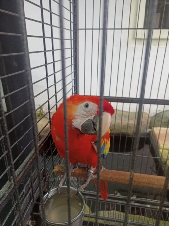 (Foto: Habibah A. Muktiara)