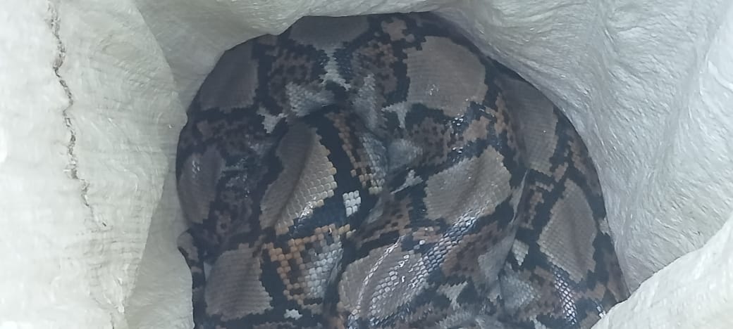 (Foto: Dinas Damkarmat untuk JP Radar Nganjuk)